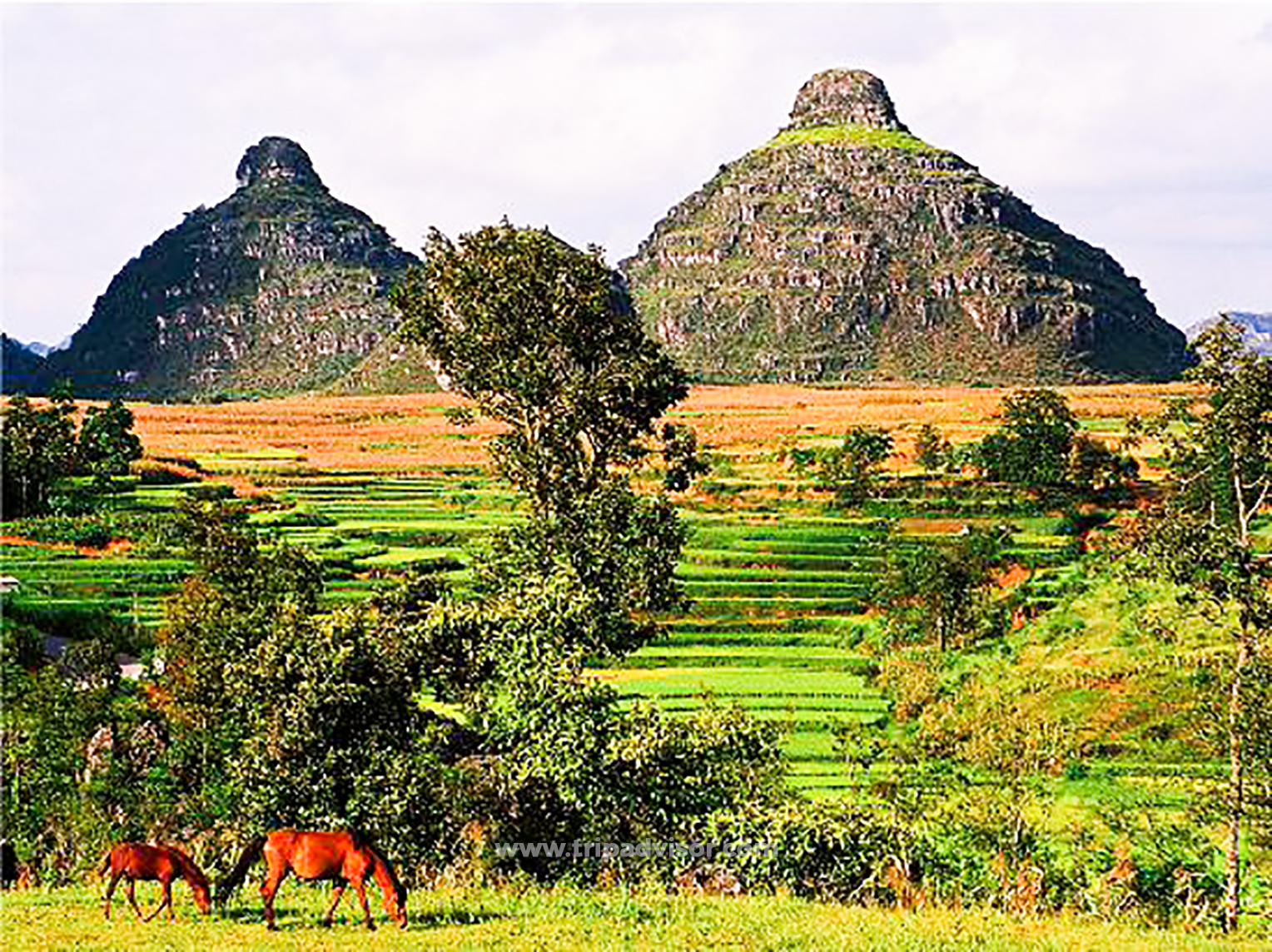 Breast Mountain