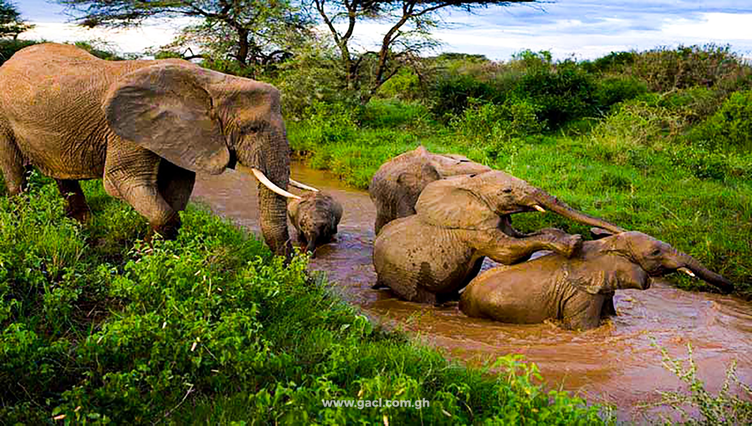 Gbelle Game Reserve