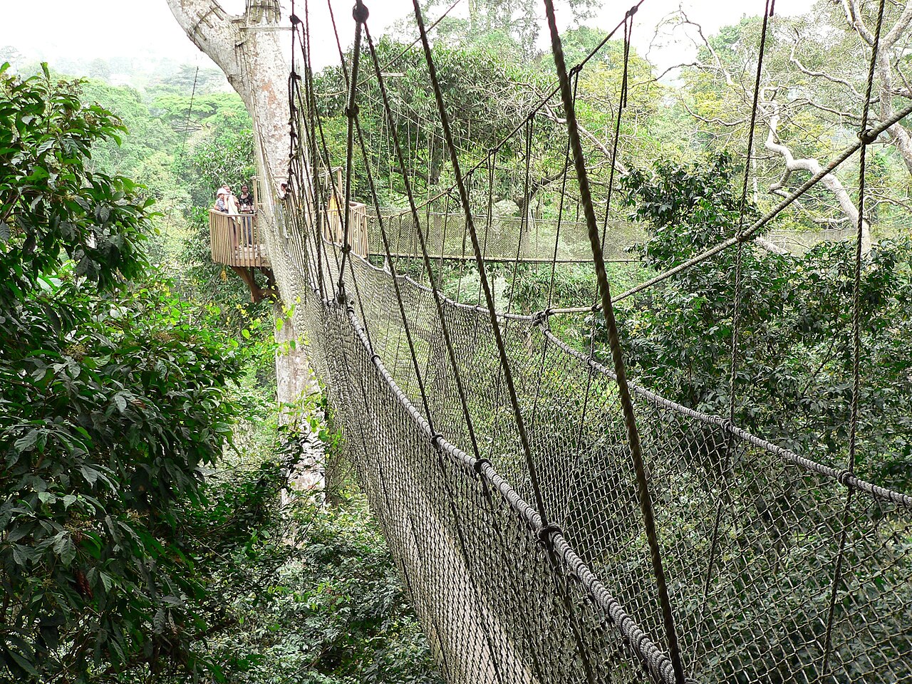 Kakum National Park